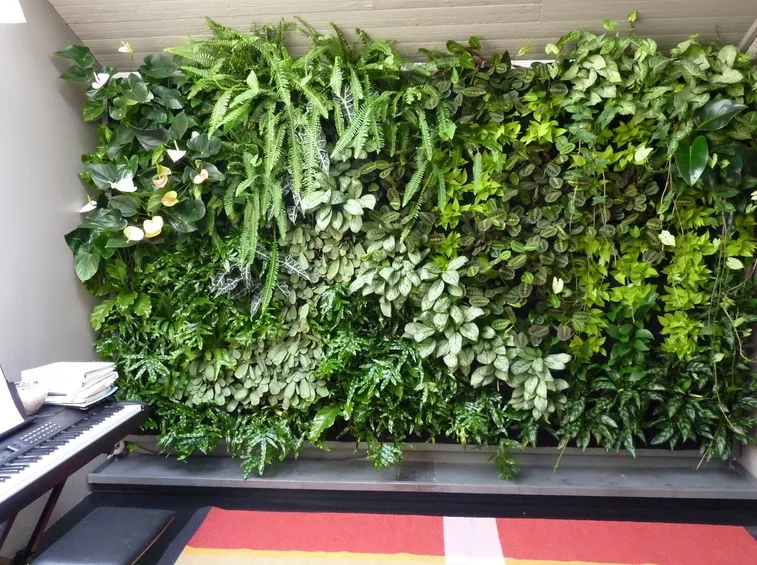 Giardini verticali per una casa green e di design
