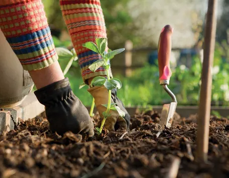 attrezzi per il giardino