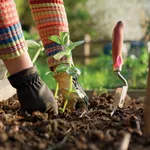 attrezzi per il giardino