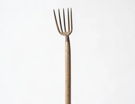 forcone
