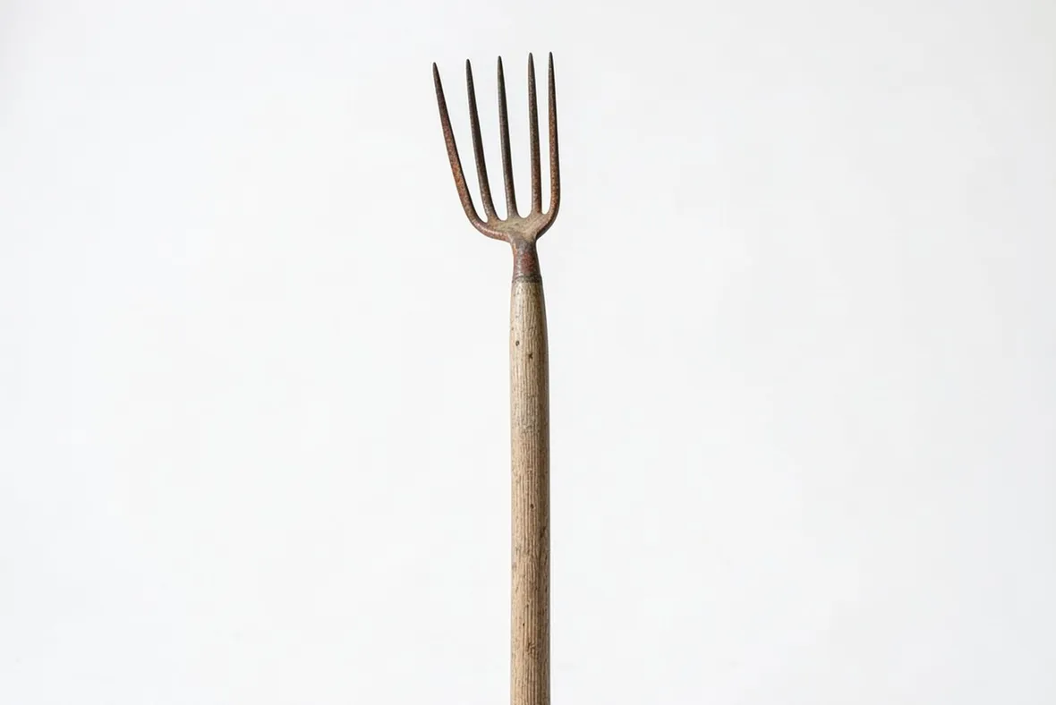 forcone
