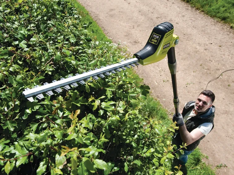 modello di tagliasiepi telescopico ryobi