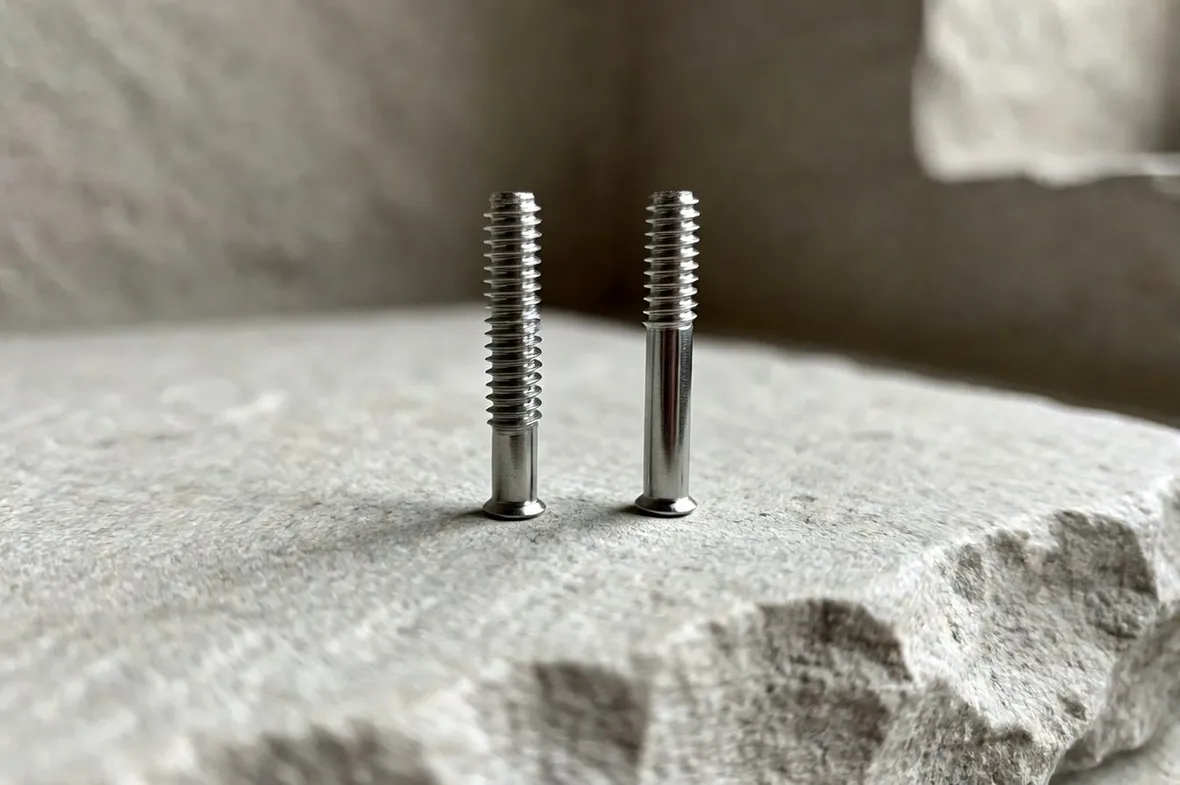 viti inox