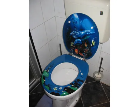 modelli di sedili wc