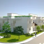 Case a schiera