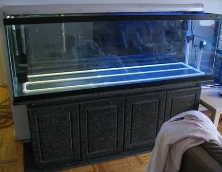Acquario allestimento