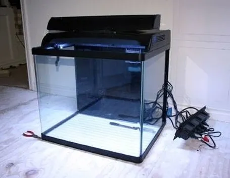 Allestire un acquario