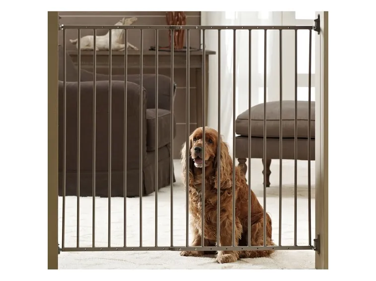 cancello per cani