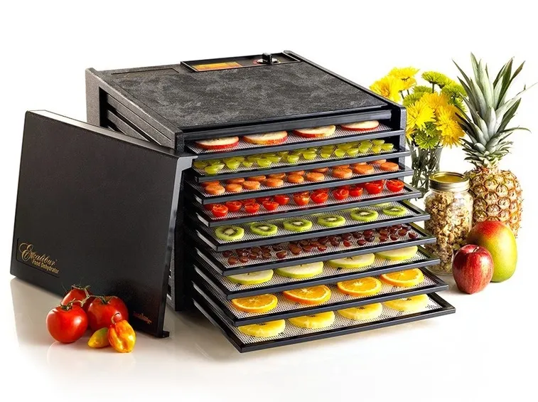 essiccatore per alimenti