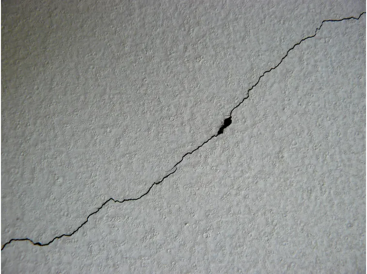 esempio di crepa nel muro