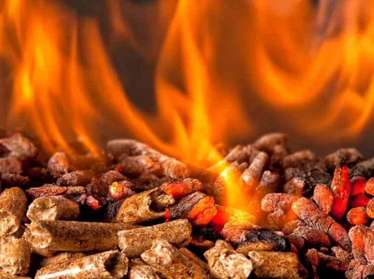 Come scegliere il pellet