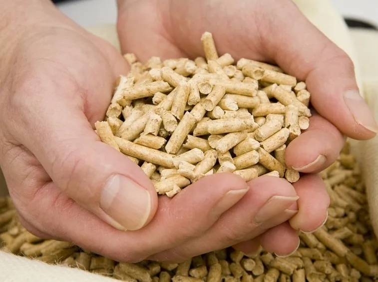 esempio di pellet