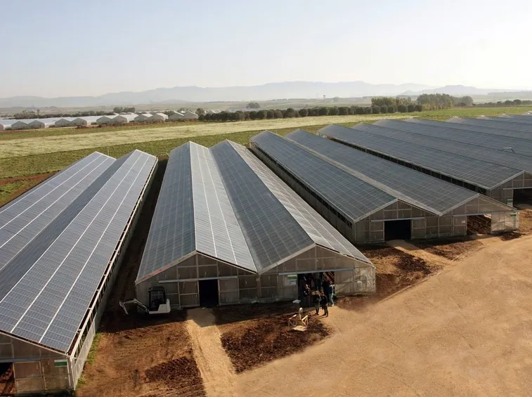 esempio serra fotovoltaica