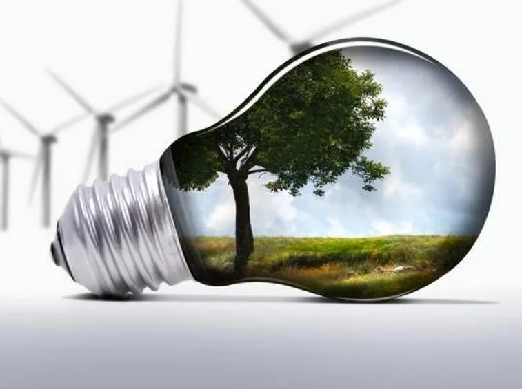 energia delle biomasse