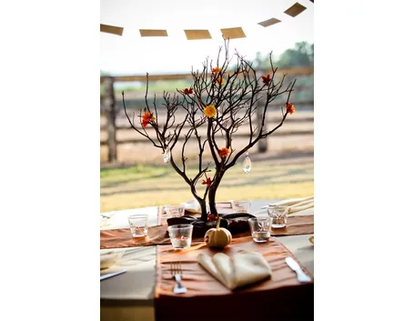albero