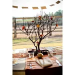 albero