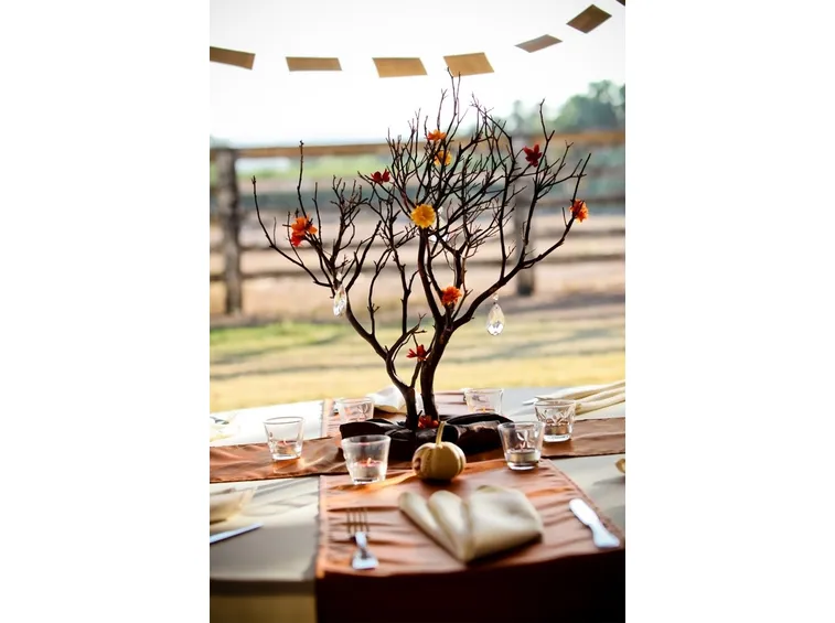 albero
