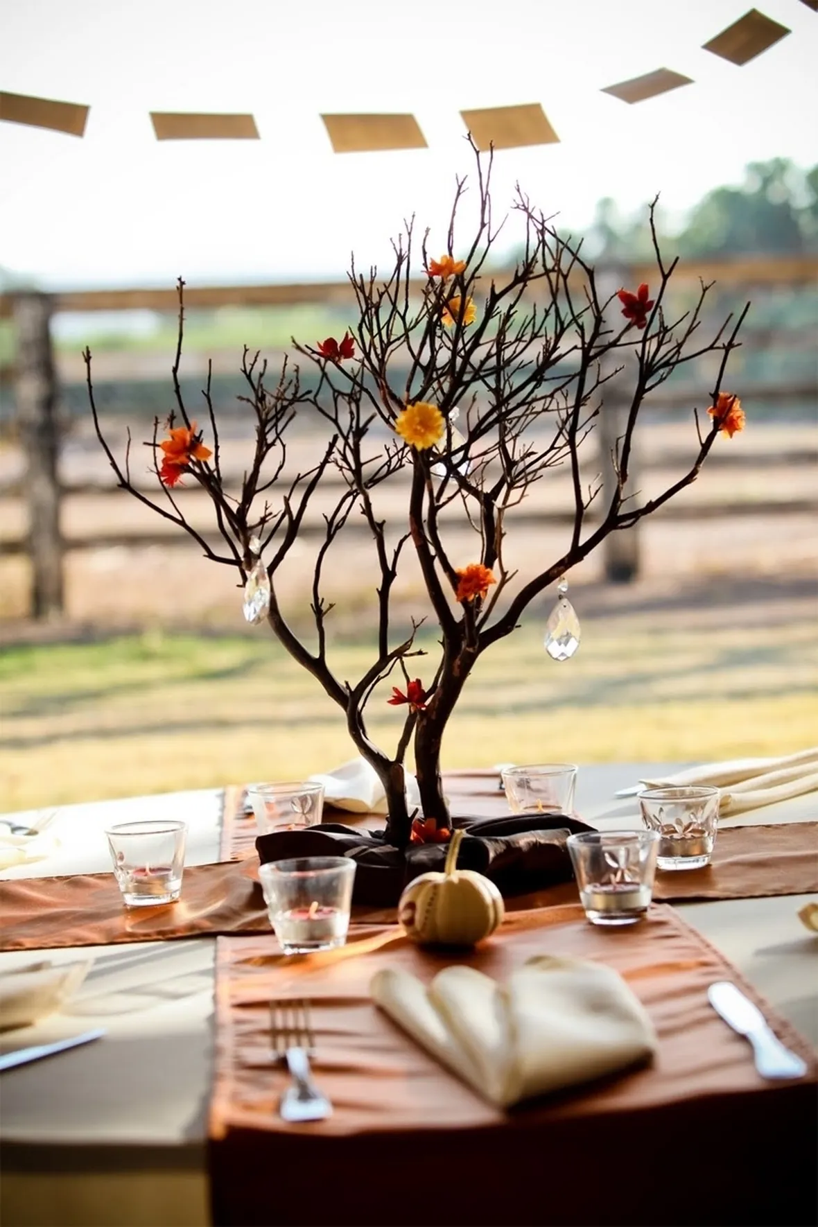 albero