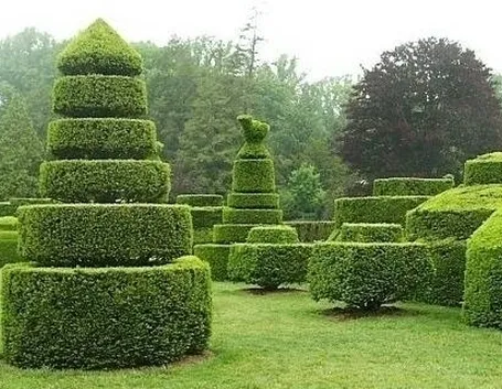 arte topiaria