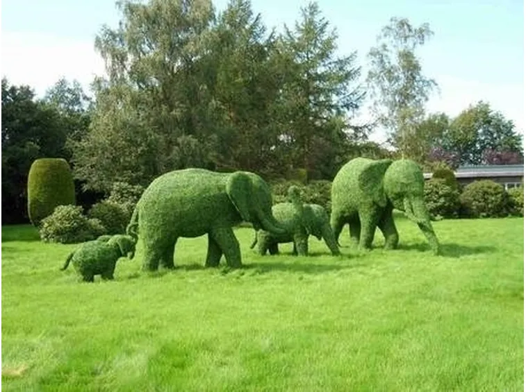 arte topiaria
