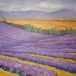 Alcune note
