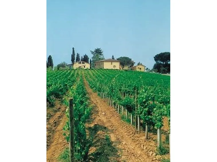 Pregi e difetti