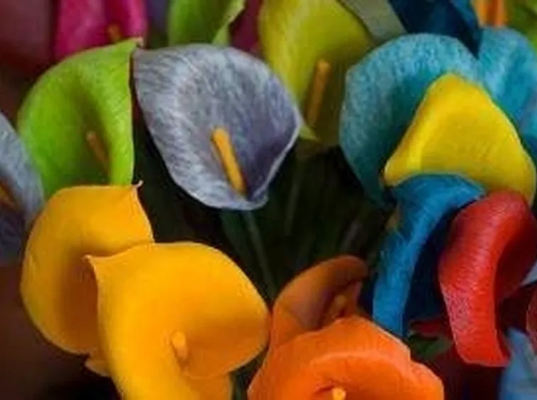 fiori di cartapesta