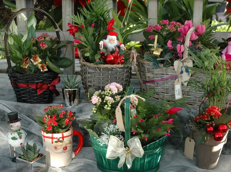 regali di natale