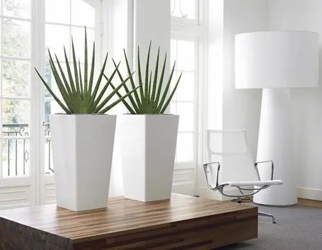verde in casa