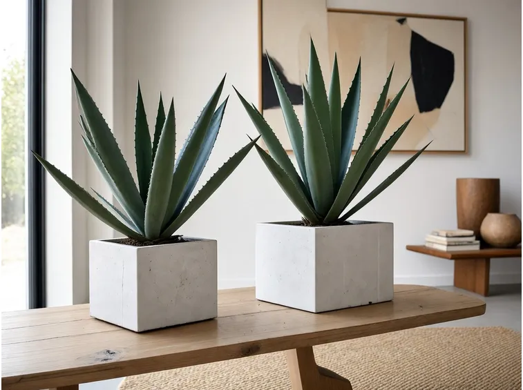 verde in casa