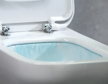 sturare il wc