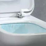 sturare il wc