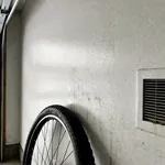 Perché d'inverno il garage si riempie di umidità