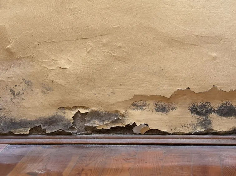umidità in casa