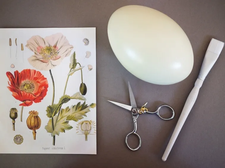 tecnica decoupage