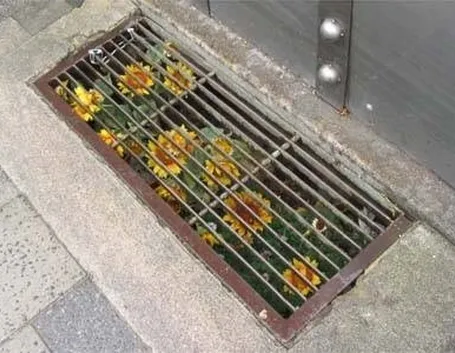 Guerrilla gardening