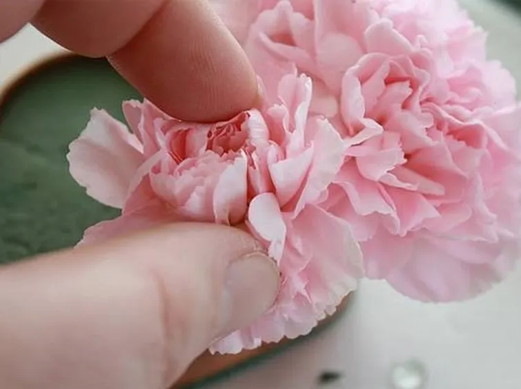 fiore segnaposto