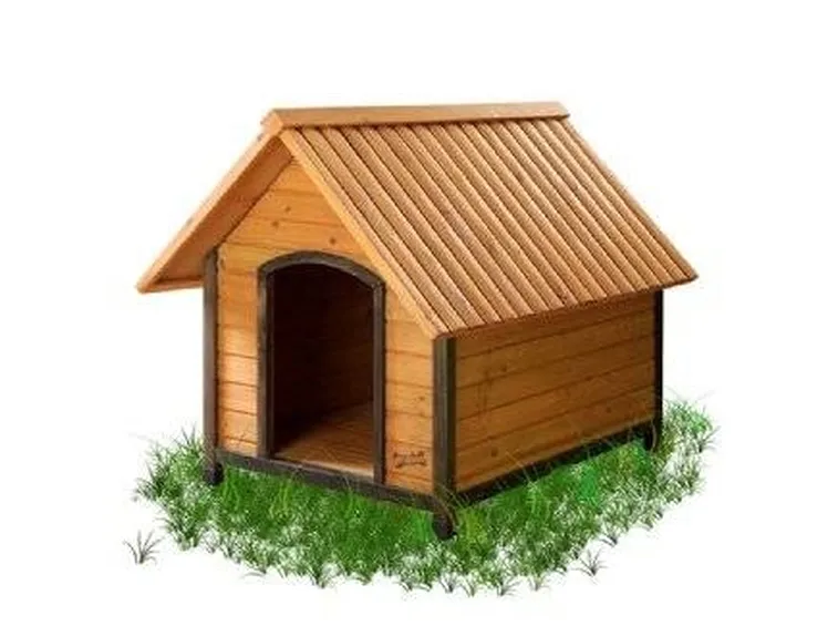 Cuccia per cani