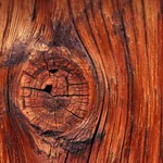 nodo del legno