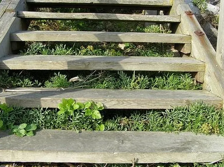 manutenzione dei gradini in legno