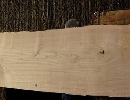 legno castagno