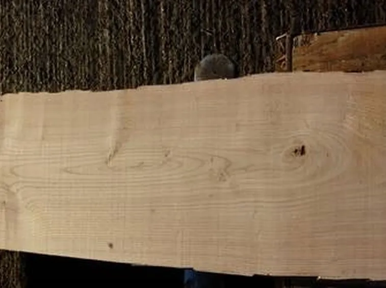 legno castagno