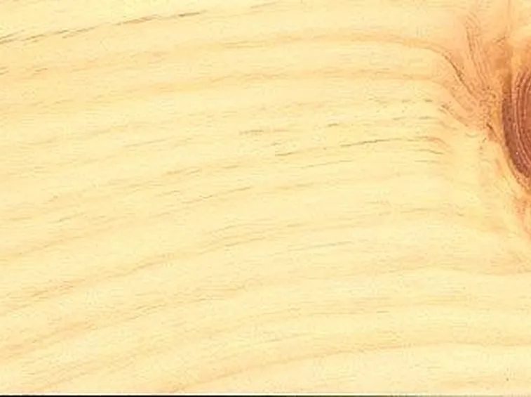 legno chiaro