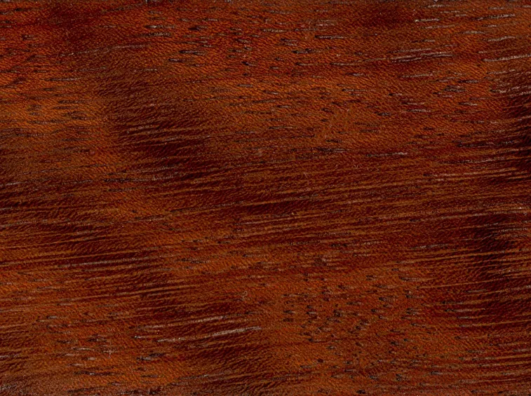 Particolarità legno iroko