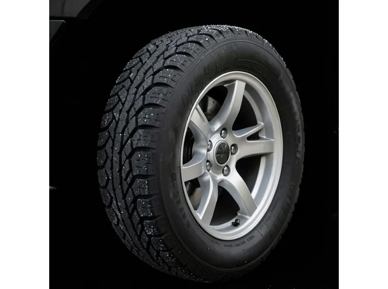 gomme da neve e noemativa