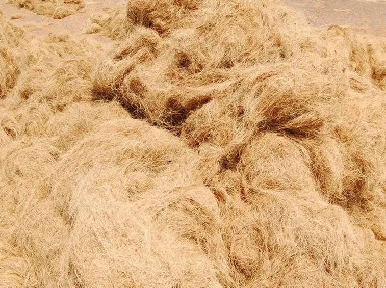 Fibra di cocco