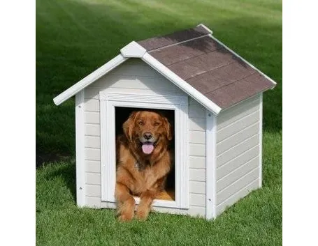 cuccia cane
