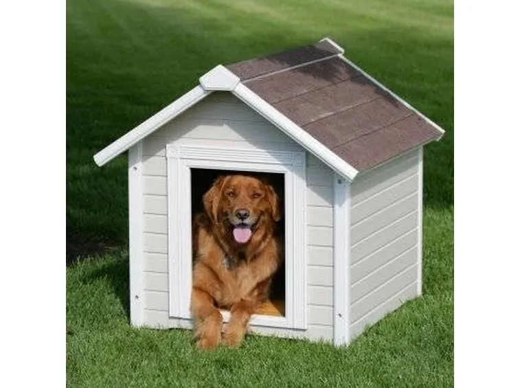 cuccia cane