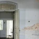 muro intaccato dall'umidità