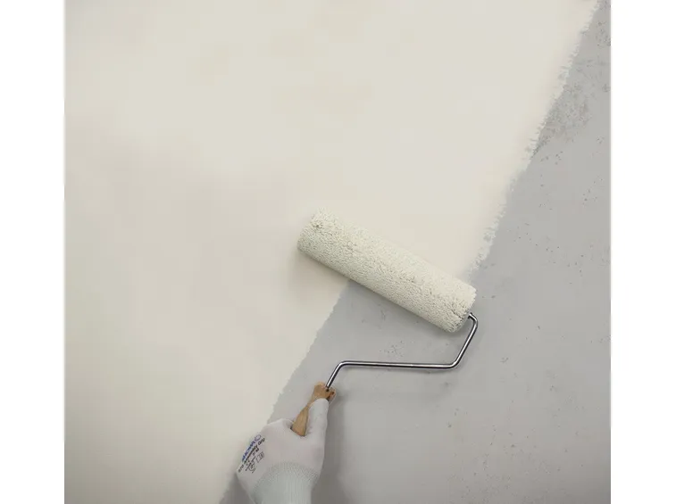 pittura antimuffa